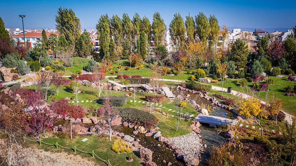 Japanese Garden